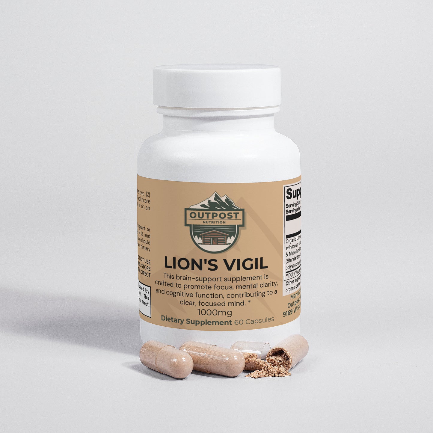 Lion's Vigil
